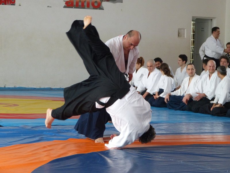 Seishin Dojo - Scoala de arte martiale