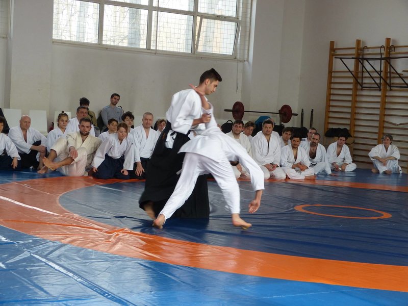 Seishin Dojo - Scoala de arte martiale