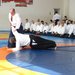 Seishin Dojo - Scoala de arte martiale