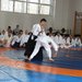 Seishin Dojo - Scoala de arte martiale